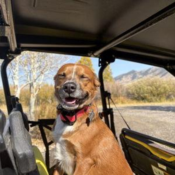 Summit County Animal Shelter