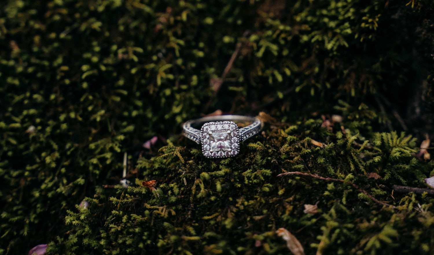 The Wedding Website of Christian Henn and Levi Russell