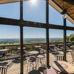 Bluemont Vineyard