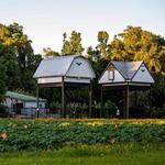 UF Bat Houses