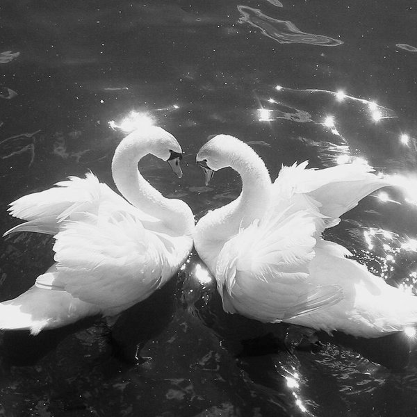 Our Honeymoon
