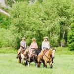Sundance Stables