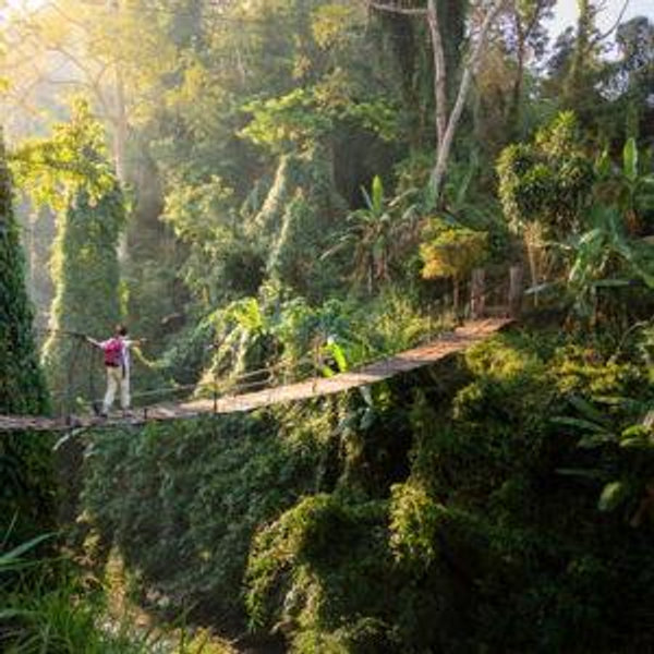 Wildlife Excursion for 2