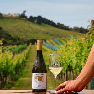 Wine Tasting For Two: Stonyridge Winery on Waiheke Island