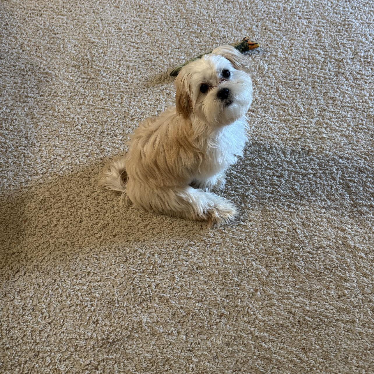 Our baby cookie!