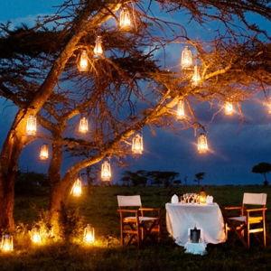 Night Game Drive and Bush Dinner
