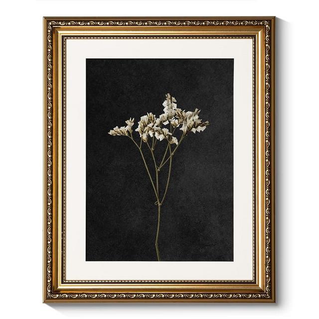 ARPEOTCY Vintage Gold Framed Wall Art, Retro Dark Dried Wildflower Paintings, Canvas Prints Artwork with Antique Frame, Victorian Wall Picture Decor for Room Gallery Living Room, 13x16 inch
