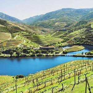 Douro Valley Wine Tour