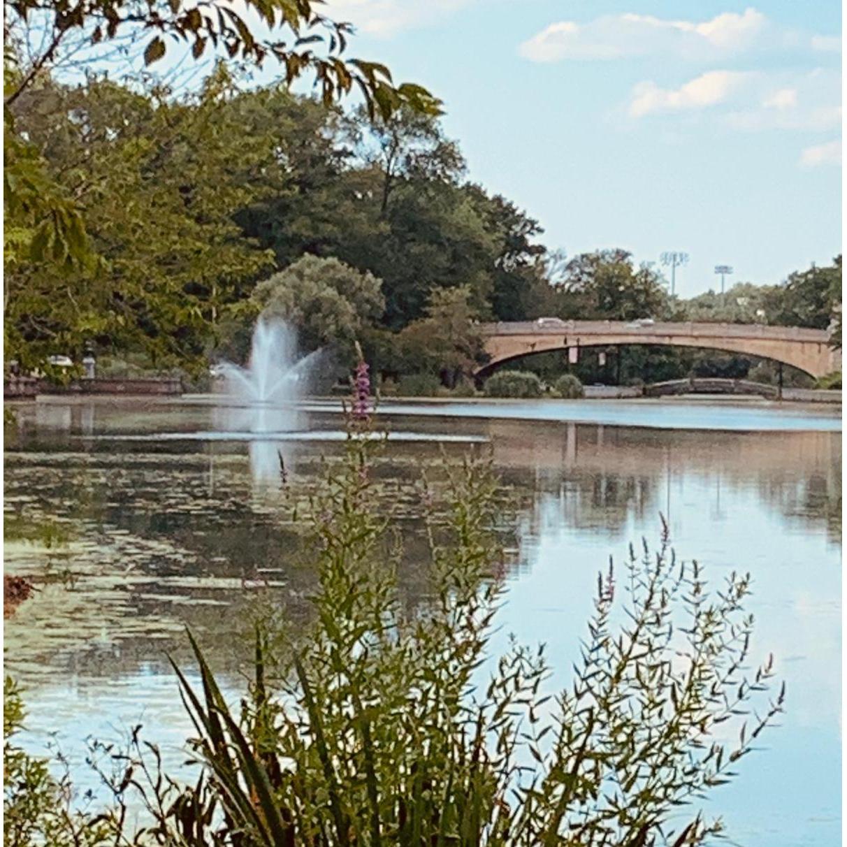 Our favorite park.