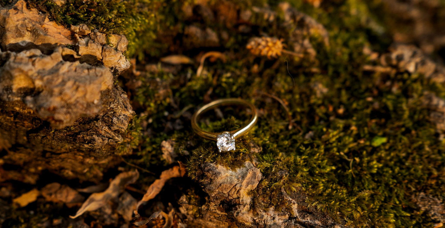 The Wedding Website of Justin Powell and Tara Davids