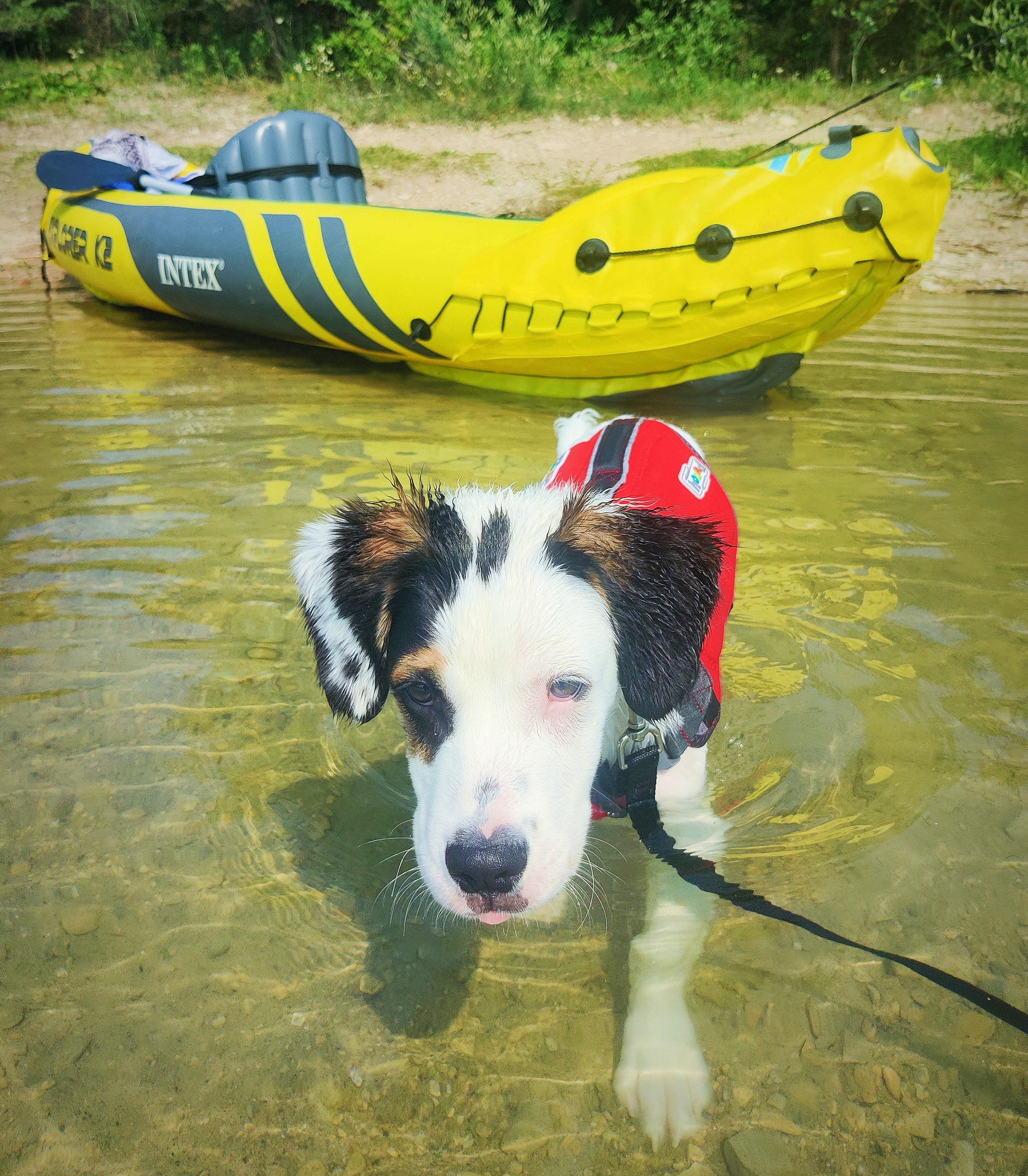 The Wedding Website of Angela Echeveste and Joshua Hogreve