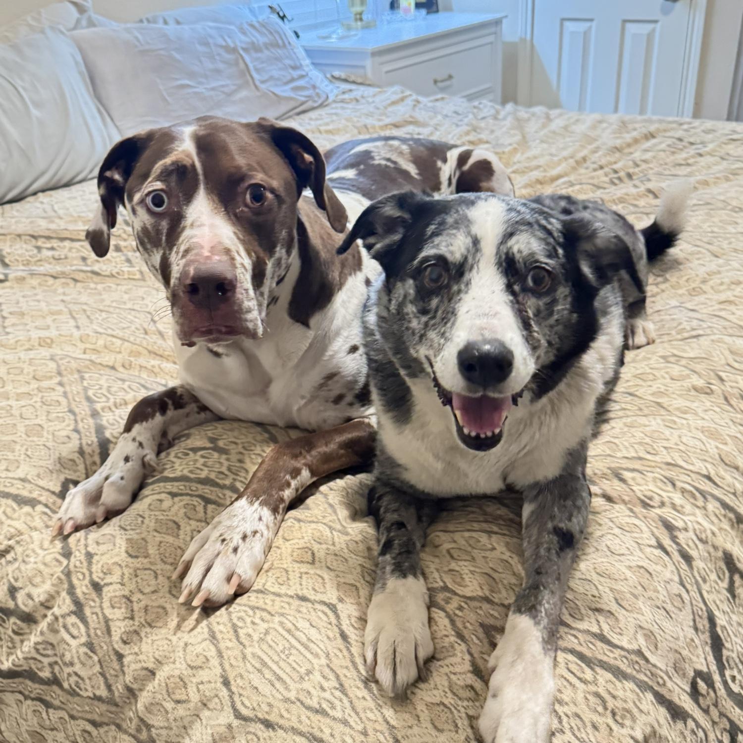 Our babies!
