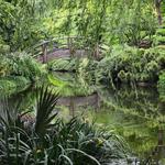 Fort Worth Botanic Garden