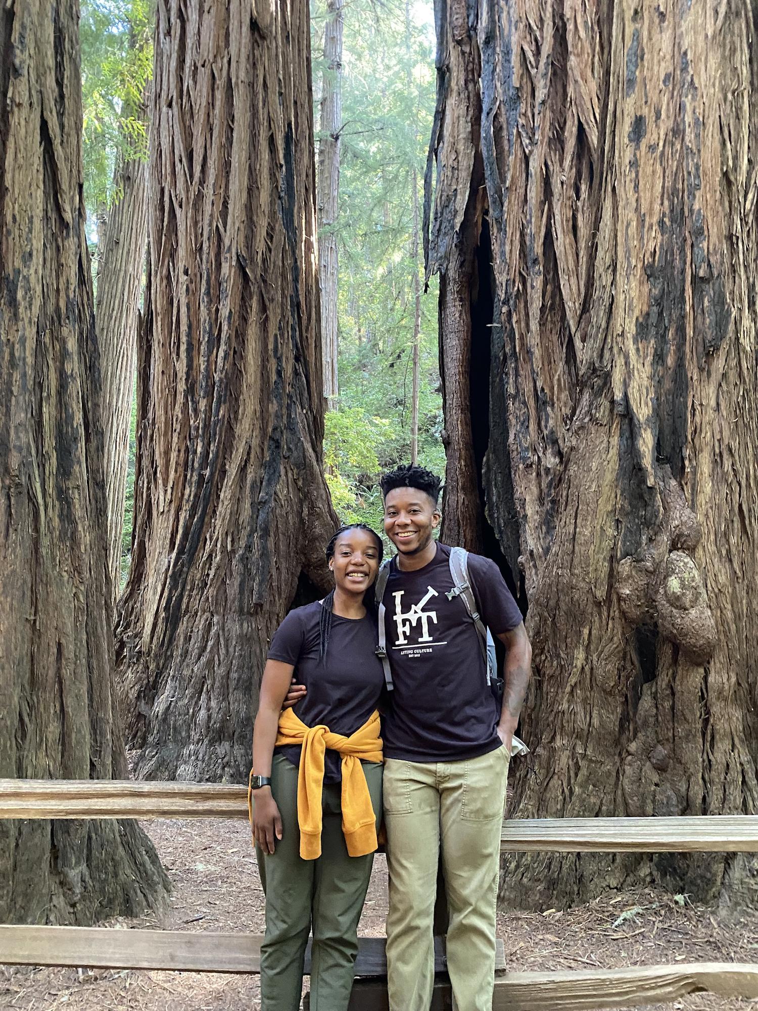 Standing tall-ish among the great readwoods in California.