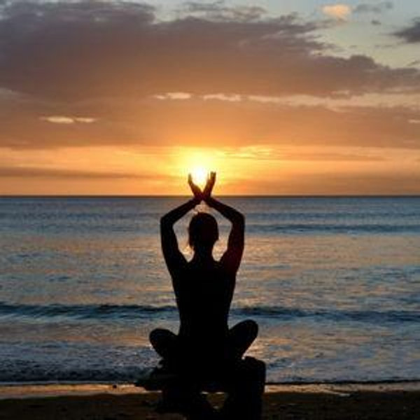 Wellness Experiences
