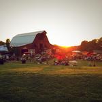 Arrington Vineyards