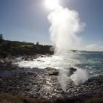 Little Blowhole