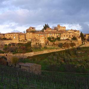 Montefioralle Winery | Wine Tour & Tasting