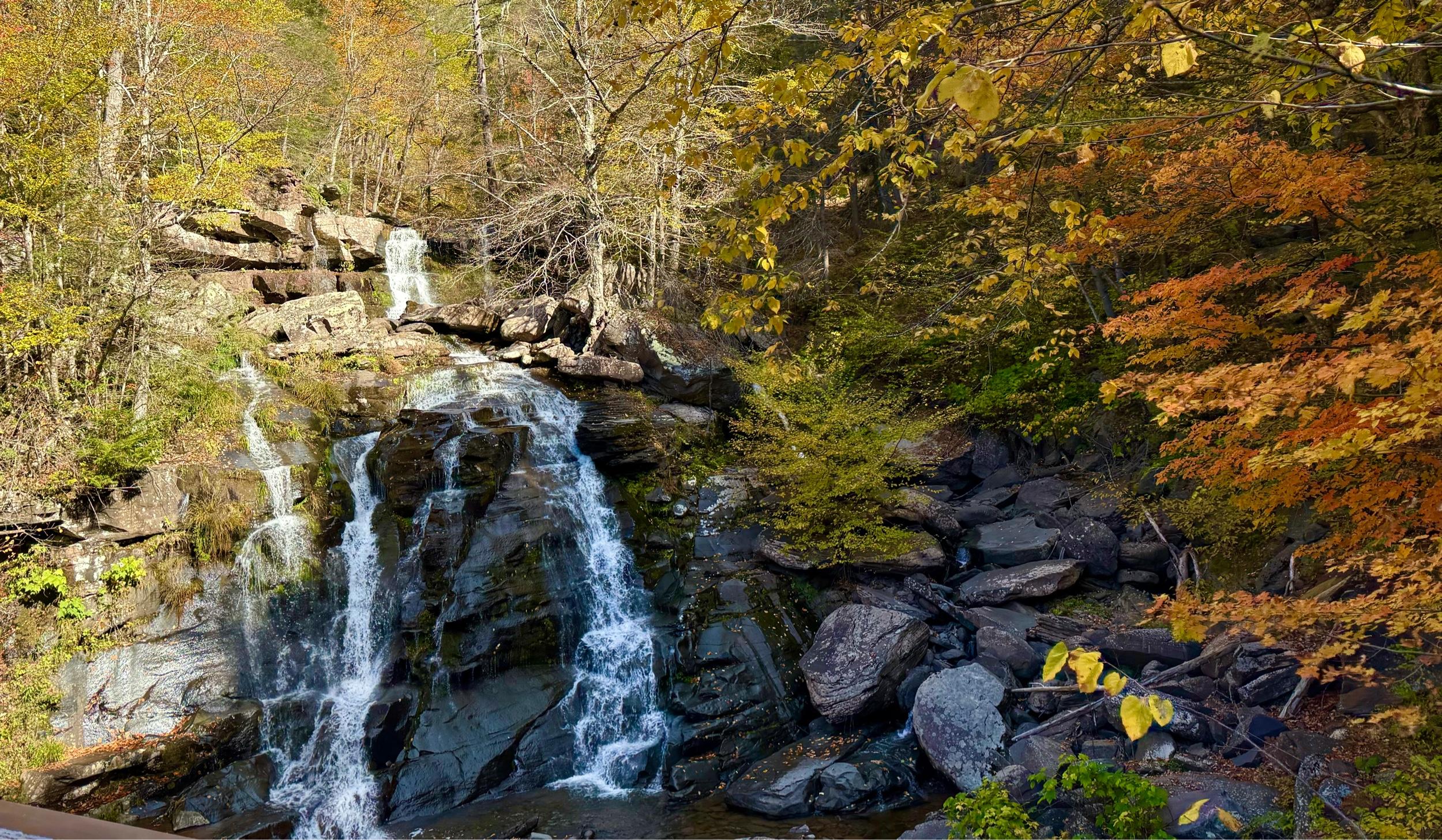 The Wedding Website of Jack Robarge and Nicole Stark