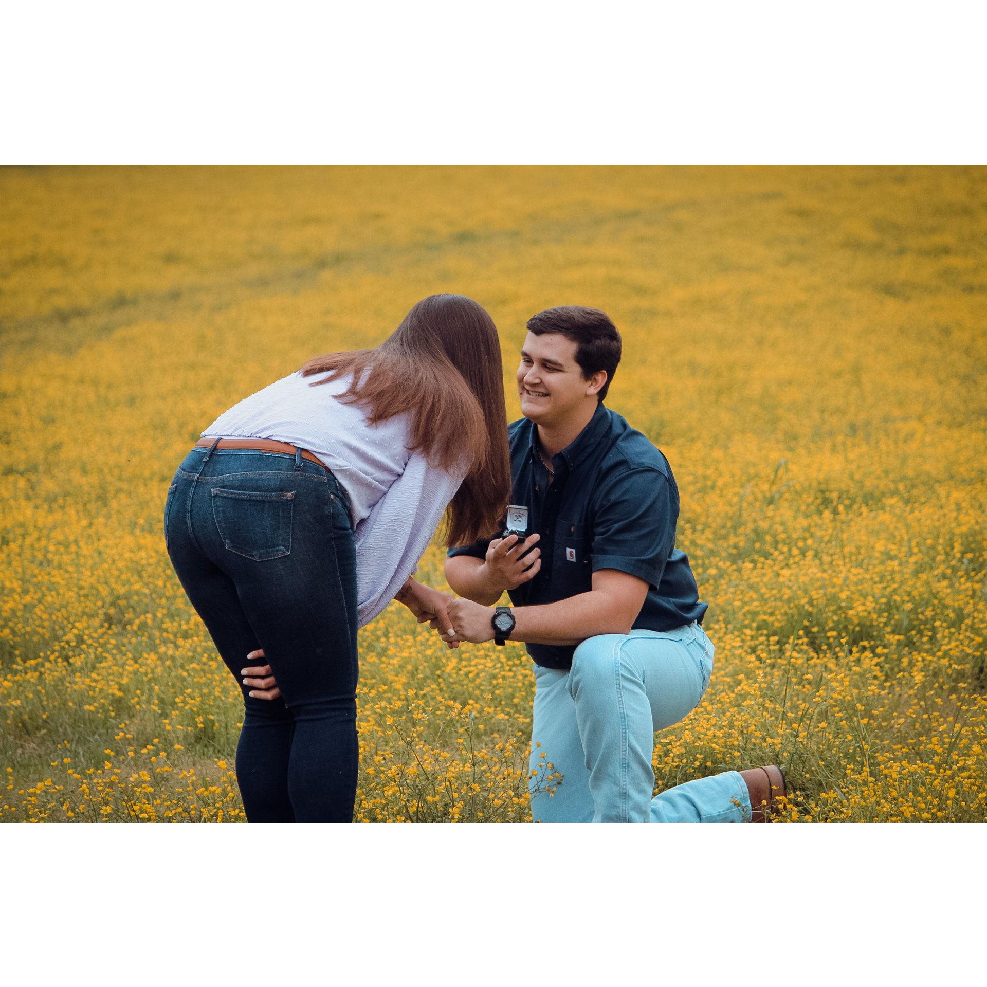 PROPOSAL!! 4-30-22