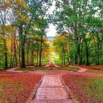 Other Places In Nash