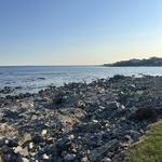 Cape Neddick Lobster Pound