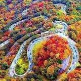 Tail of the Dragon