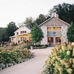 Pippin Hill Farm & Vineyards
