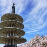 SF: Japantown