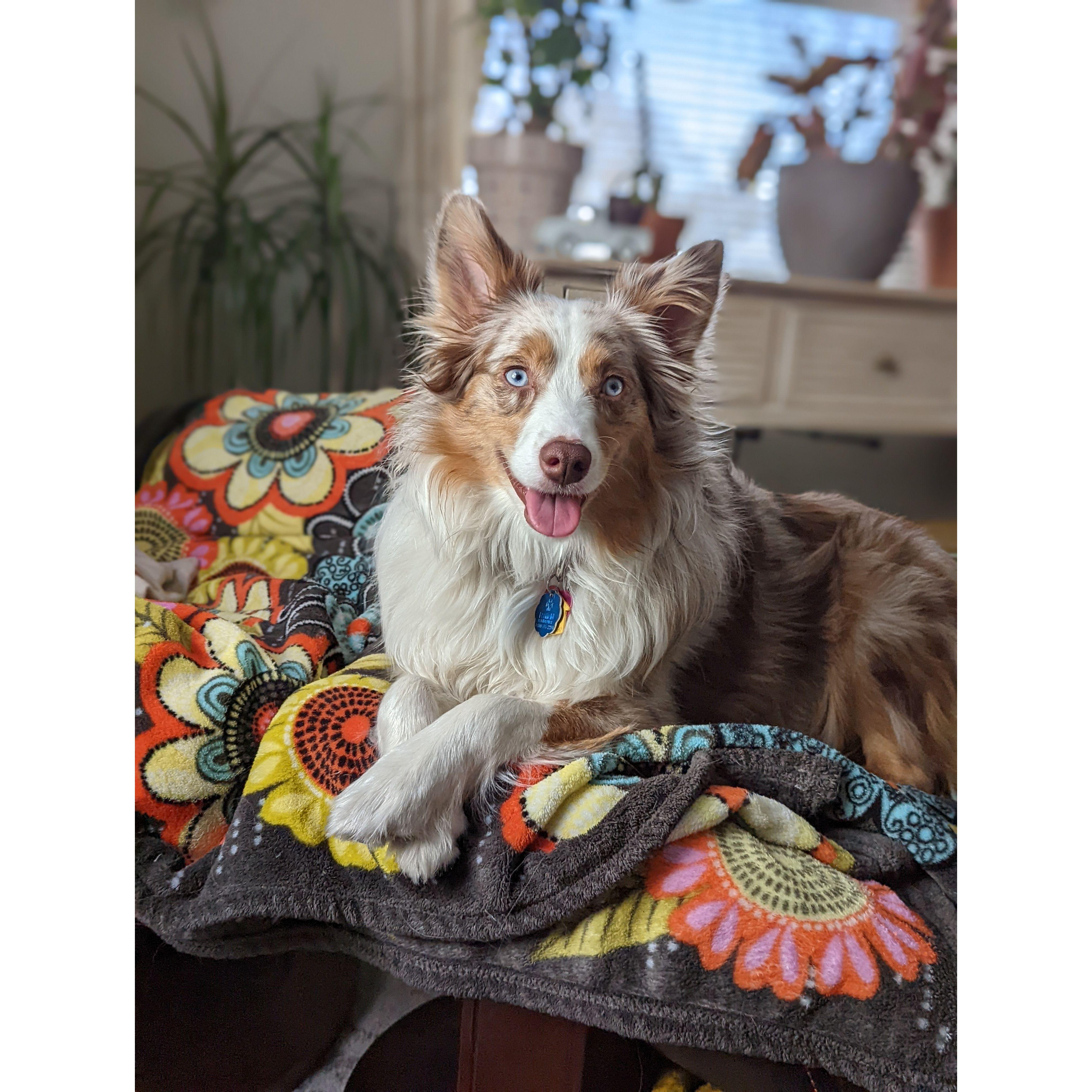 Zoey girl!