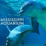 Mississippi Aquarium