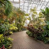 Frederik Meijer Gardens & Sculpture Park