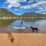 Paddle