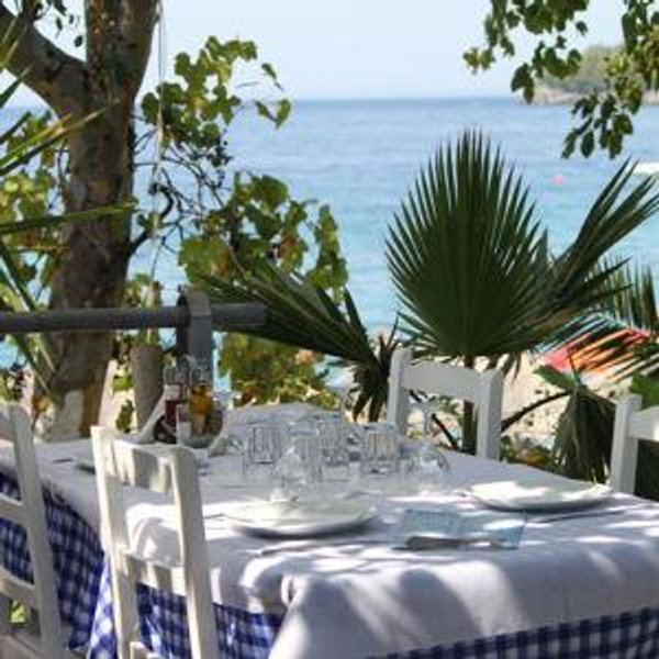 Romantic Honeymoon Dinner!