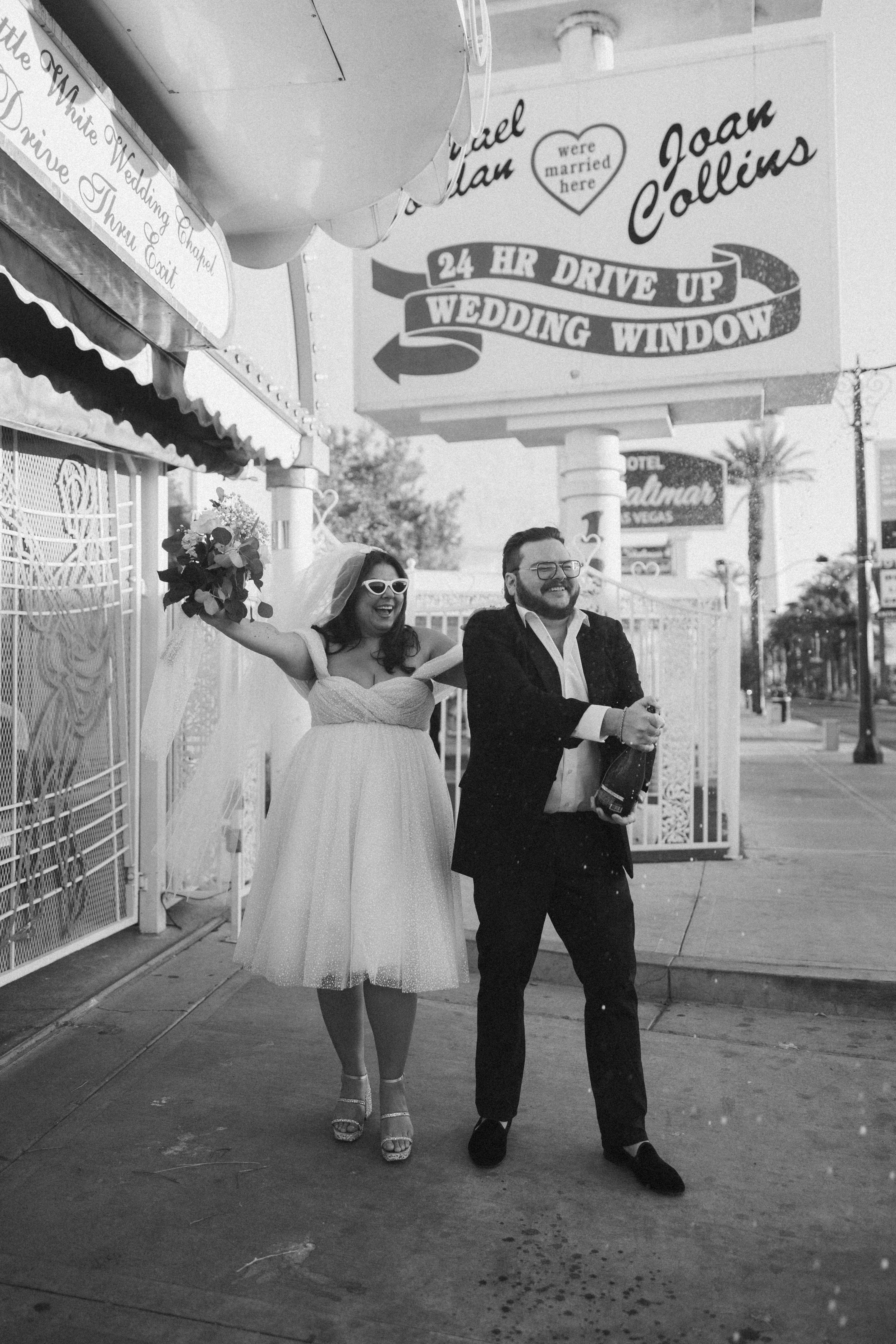 The Wedding Website of Sheena Mirsaidi and William Donadio