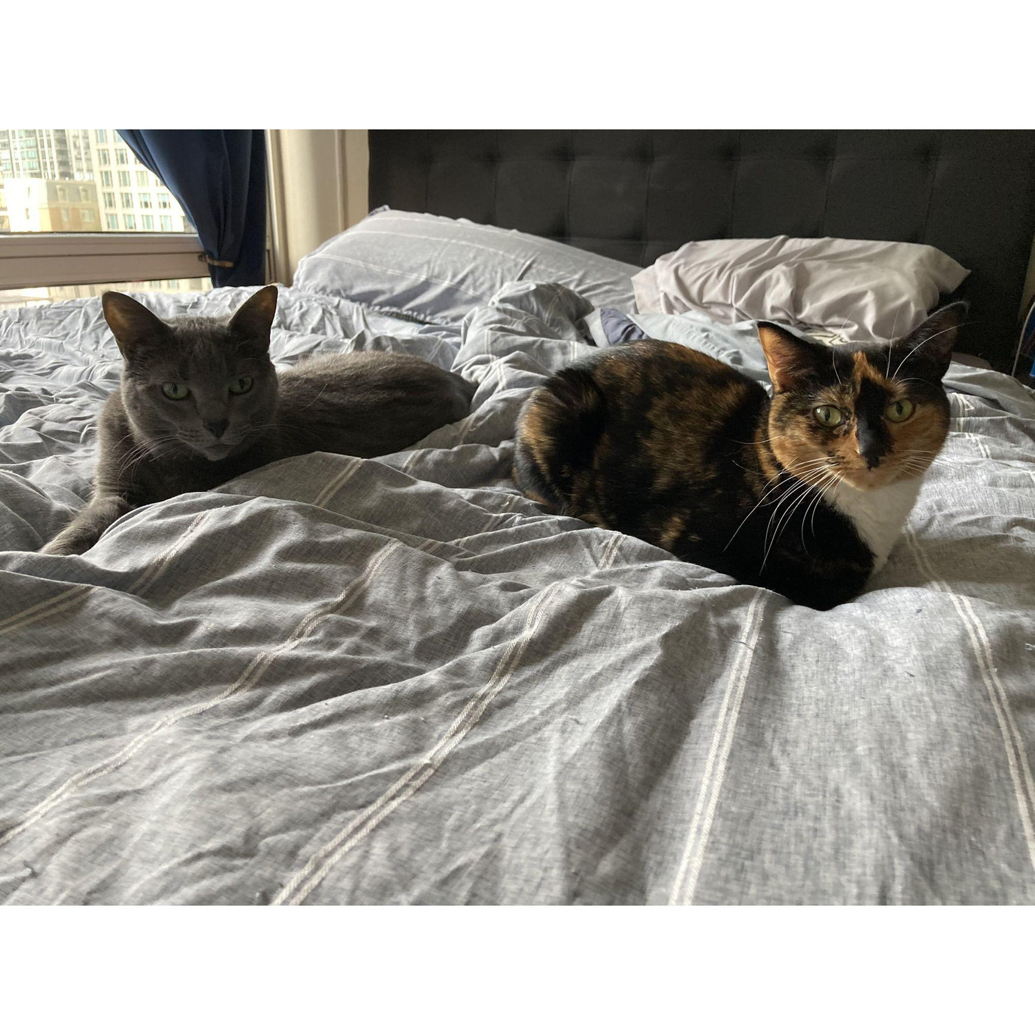 The girls have finally decided that they can relax together