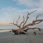 Jekyll Island