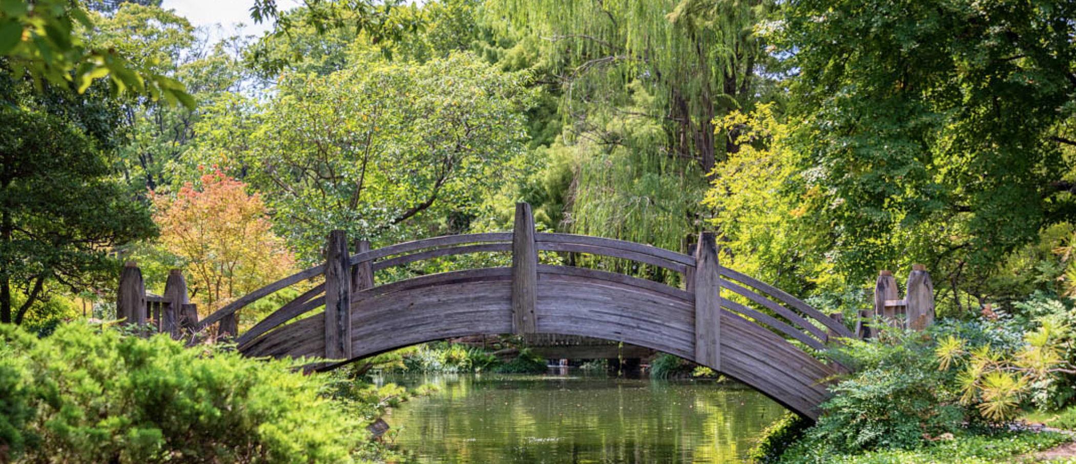 The Wedding Website of Chloe Hewitt and Eli Rose