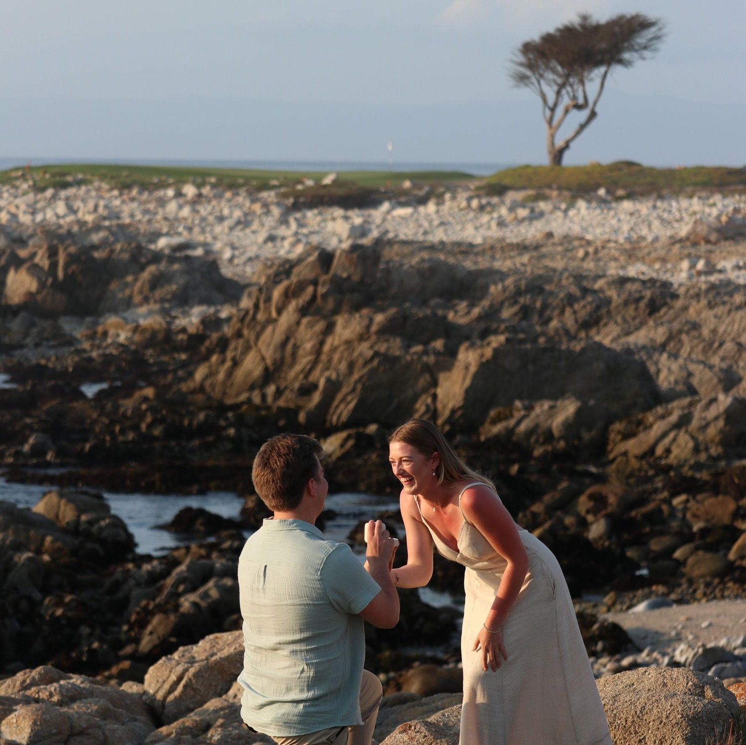 When Taylor popped the question!