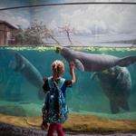 Columbus Zoo and Aquarium
