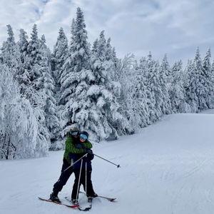 Ikon Ski Pass Fund