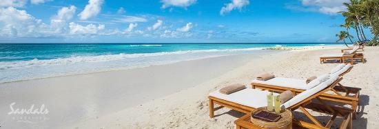 4ded0190-ef7a-4c01-8b35-f3738713ff2b