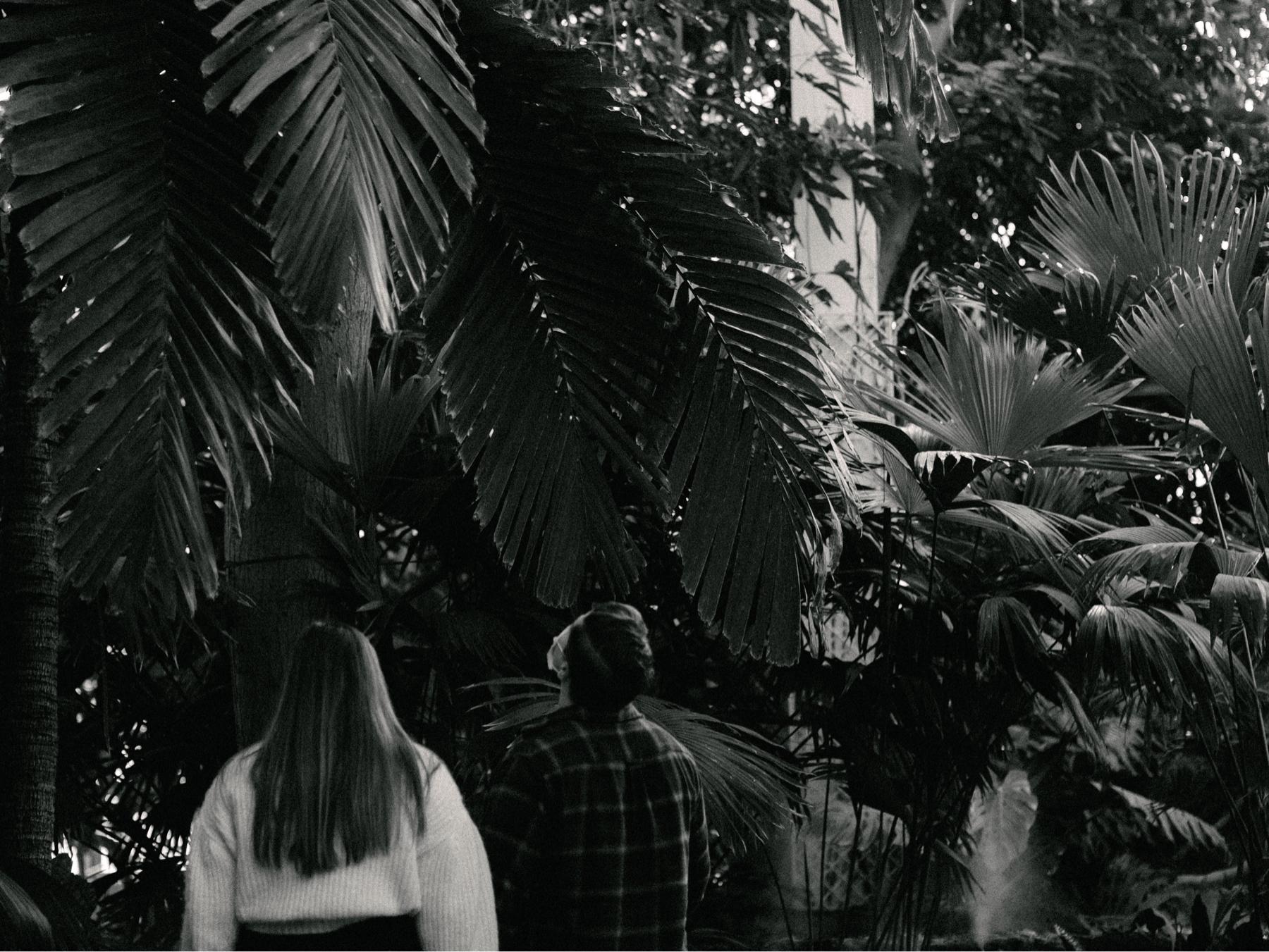 The Wedding Website of Hunter Bridge and Madeline Kulwicki