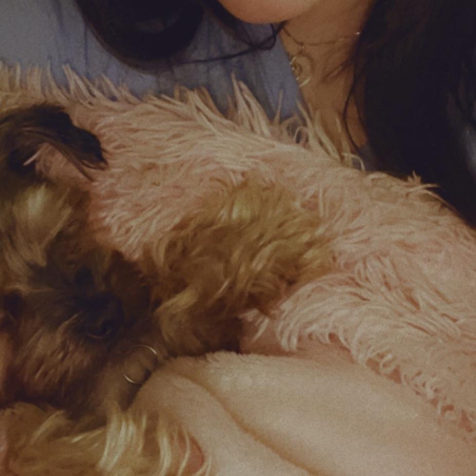 Diana got Roxie when Tango the family dog passed and they have been by each others side since day one. Fun fact Roxie loves watching her favorit tv show her favorite Sophia the first.