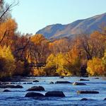 Yampa River