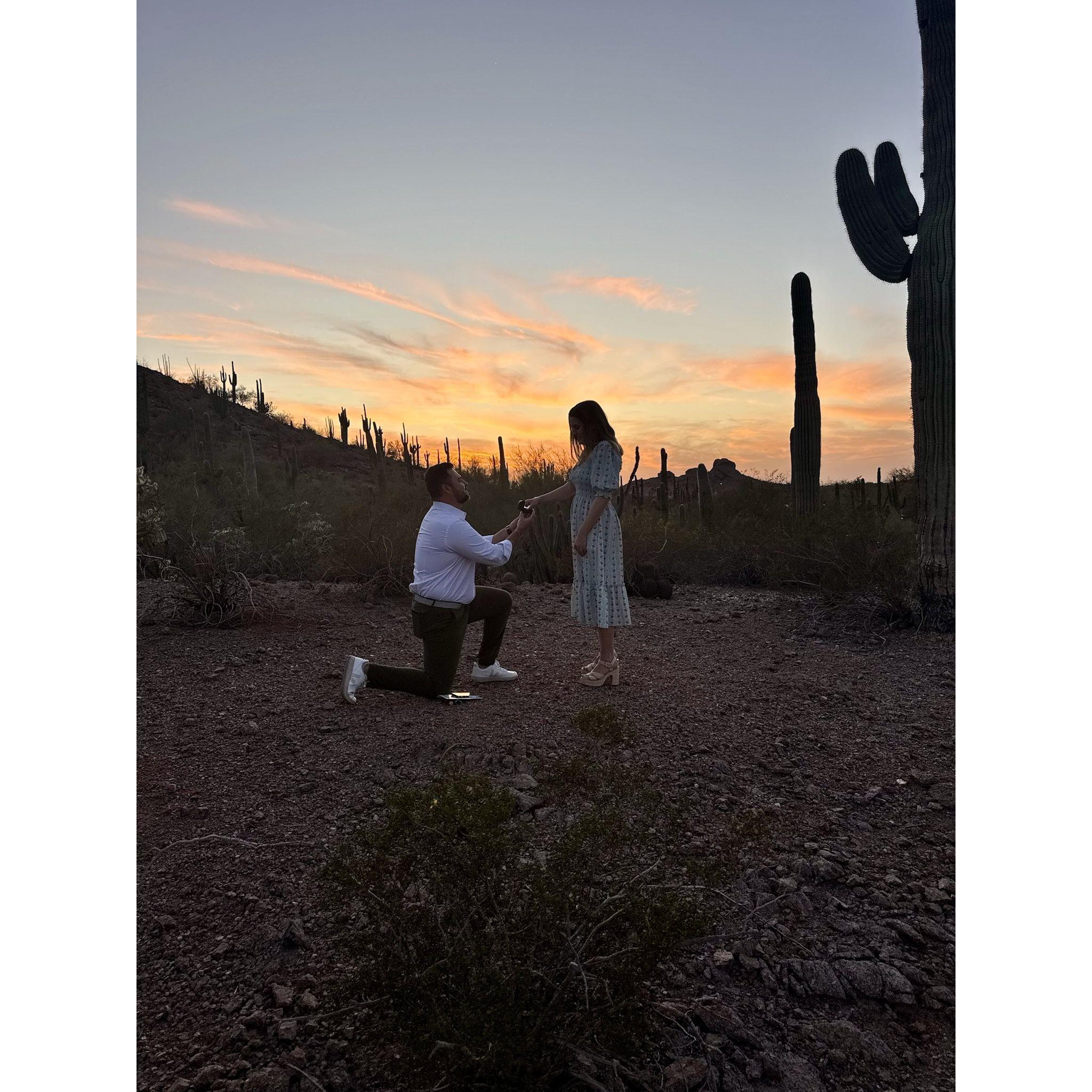 Proposal at the Botanical Gardens