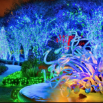 The Atlanta Botanical Gardens