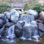 Japanese Friendship Garden