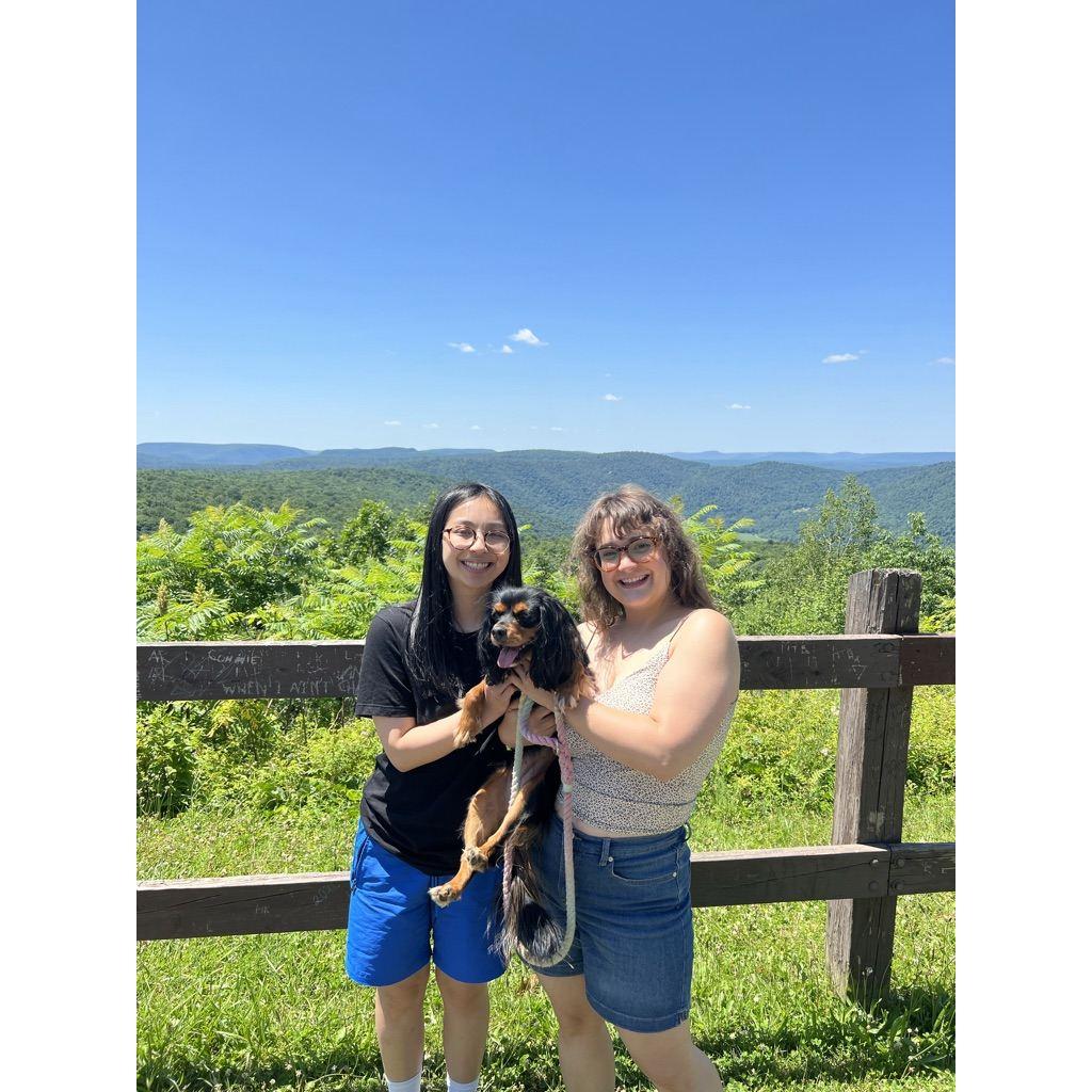 Visiting High Knob lookout in Pennsylvania with Daisy