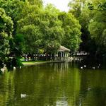 St Stephen's Green